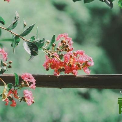 星空体育手机app下载