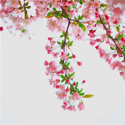 乐鱼体育官网app网页登录