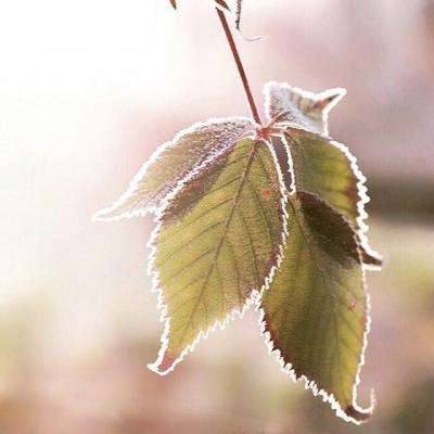 71771威尼斯.Cm手机app下载